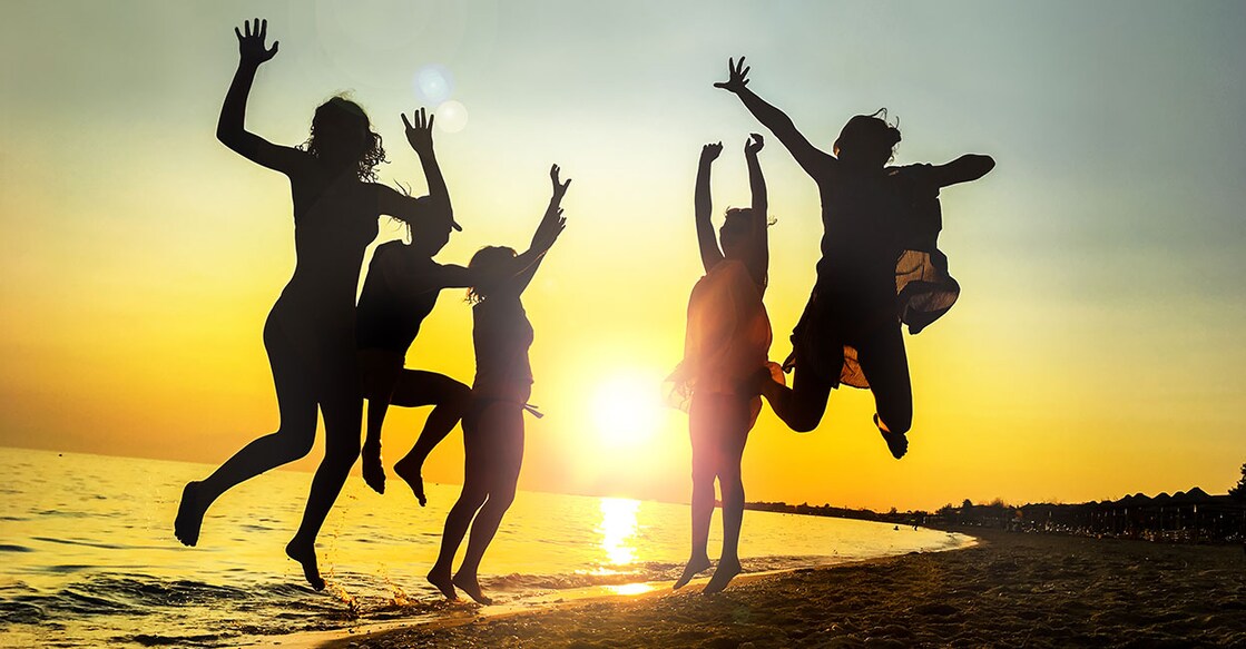 Image Credit : zefart/ Shutterstock