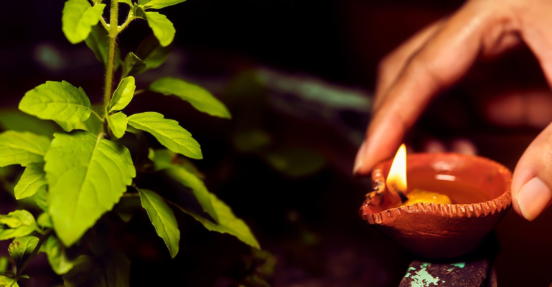 dosha-remedy-in-karkidakam Image Credit : Nisha Dutta / Shutterstock