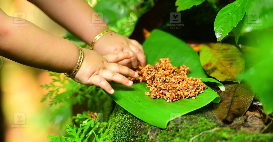 ചിത്രം: റിജോ ജോസഫ്∙മനോരമ