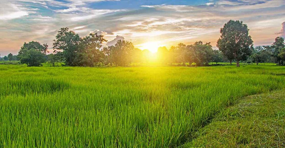 sunrise Image Credit : ubon shinghasin / Shutterstock