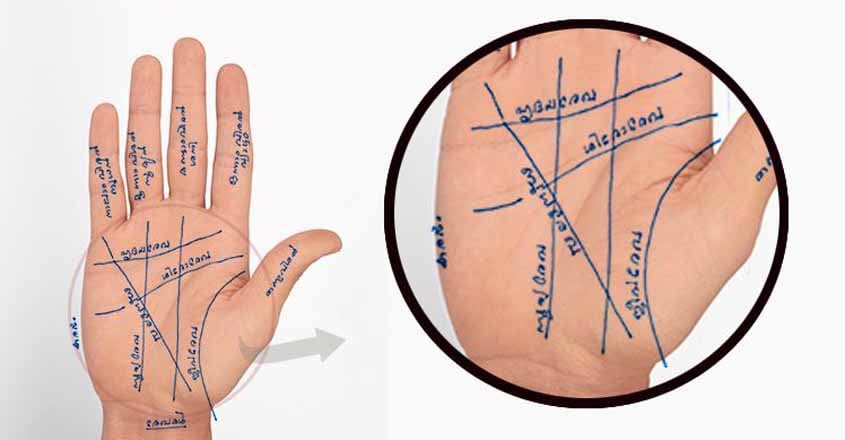 palmistry-Lines palmistry-Lines