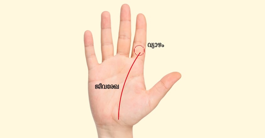 succes-hand-1 succes-hand-1