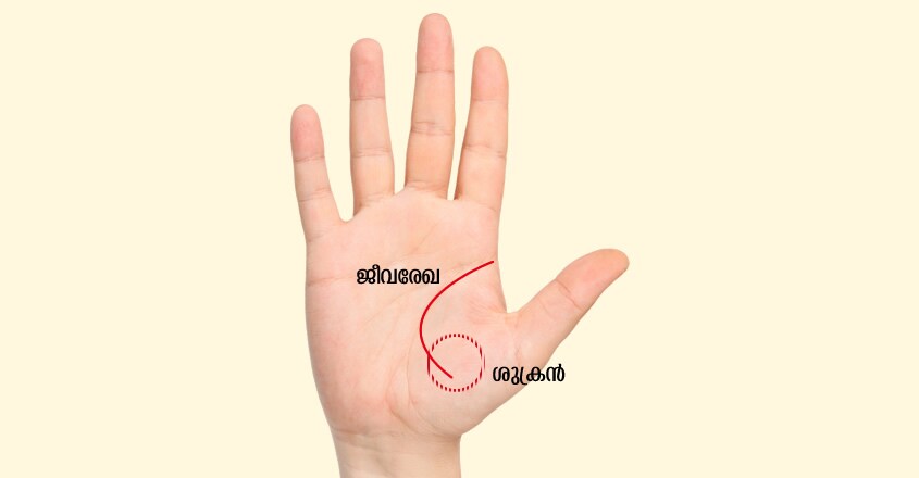 travellers-hand-2 travellers-hand-2