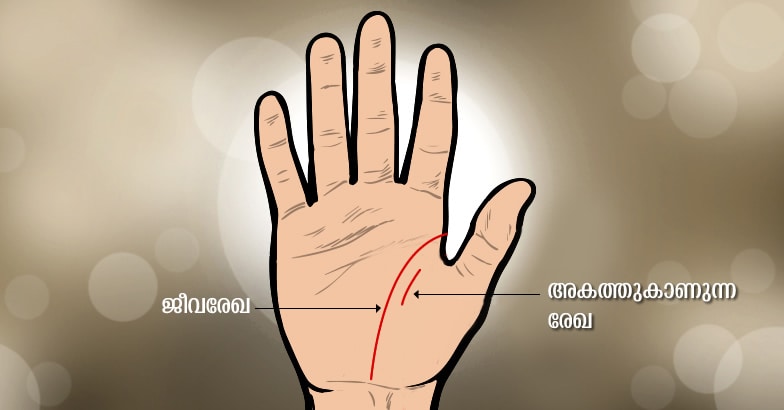 hand-1 hand-1