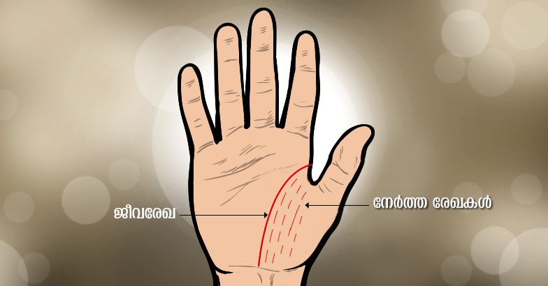 hand-3 hand-3