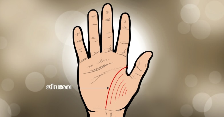 hand-4 hand-4