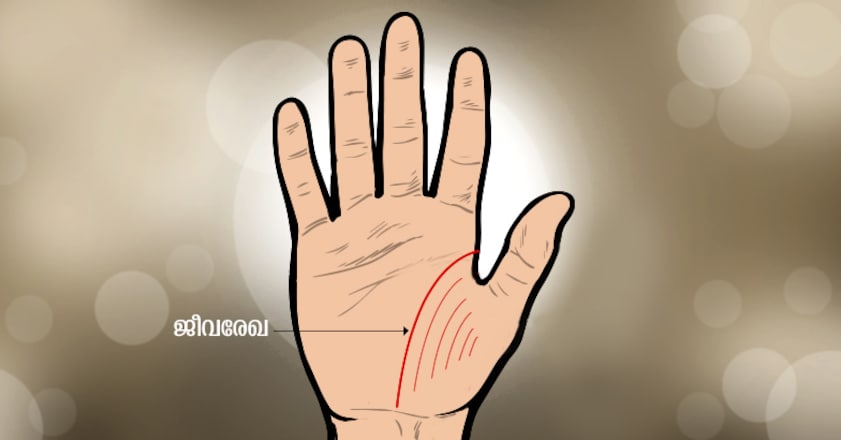 hand-4 hand-4