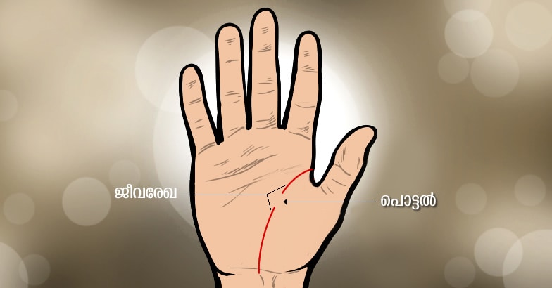 hand-5 hand-5