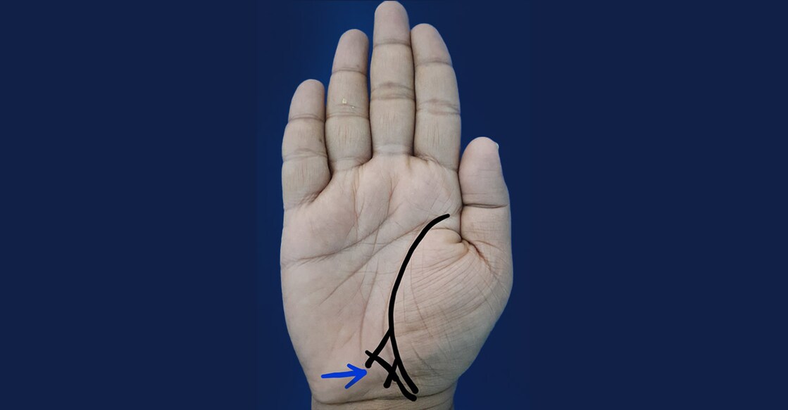fish-line-in-palmistry