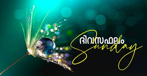 ഇന്നത്à´¤െ നക്à´·à´¤്à´°à´«à´²ം - 06 November 2022 ...