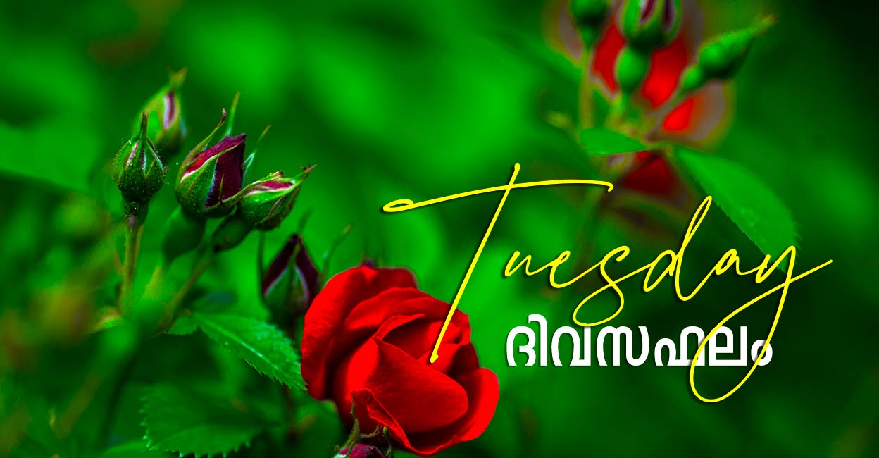 Today’s Horoscope : Horoscope Today, February 07, 2023 – Manorama Online