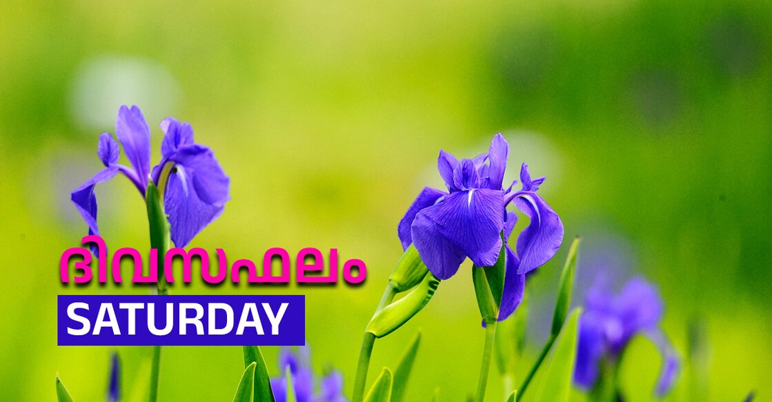 Image Credit : mstwin / IstockPhoto