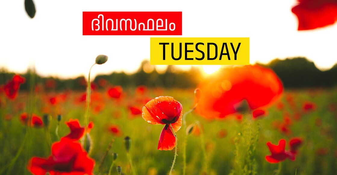 tuesday tuesday