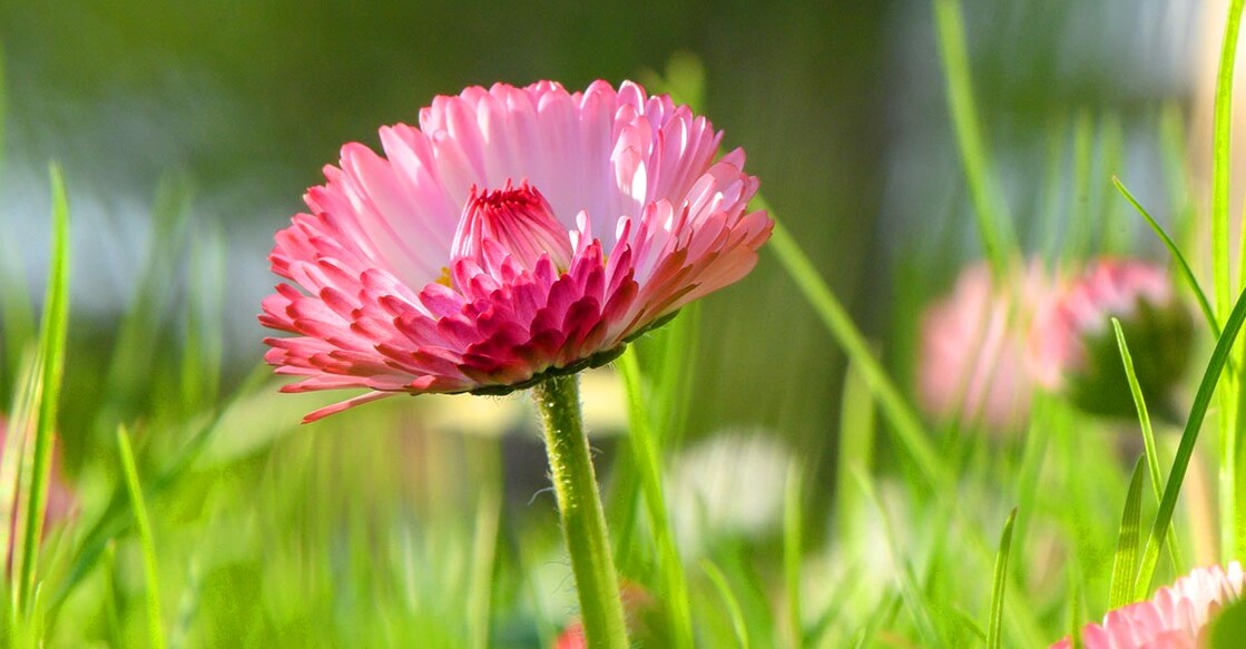 Image Credit: Mykhailo Shorokhov/ Istock