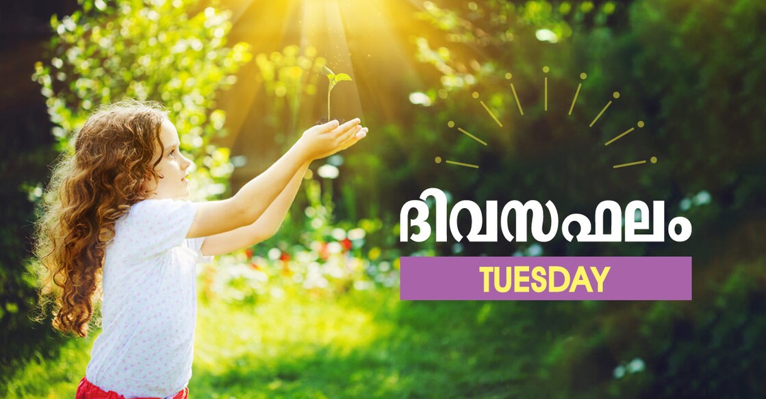 Tuesday Image Credit: Yuliya Evstratenko | Shutterstock.com
