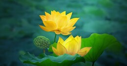 സമ്പൂർണ വാരഫലം (2024 ജൂലൈ 21 - 27) 