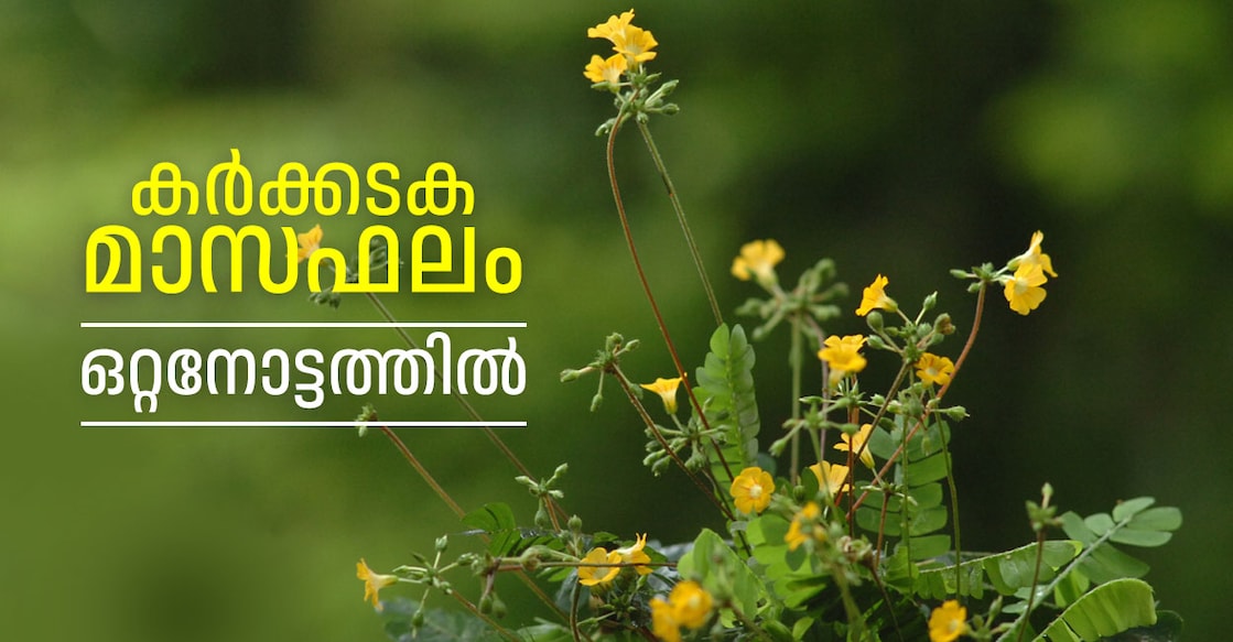 Image Credit : Josekutty Panackal  / Manorama