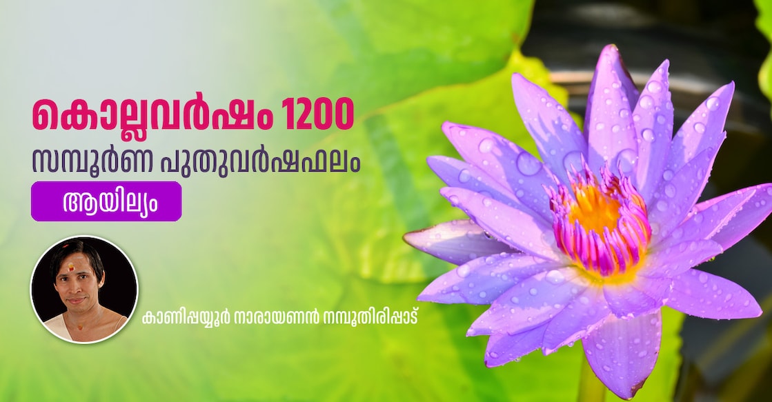 ayilyam Image Credit : raweenuttapong / IstockPhoto