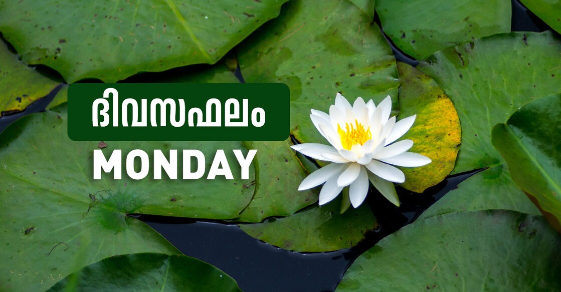 Image Credit: : nanoqfu / IstockPhoto.com