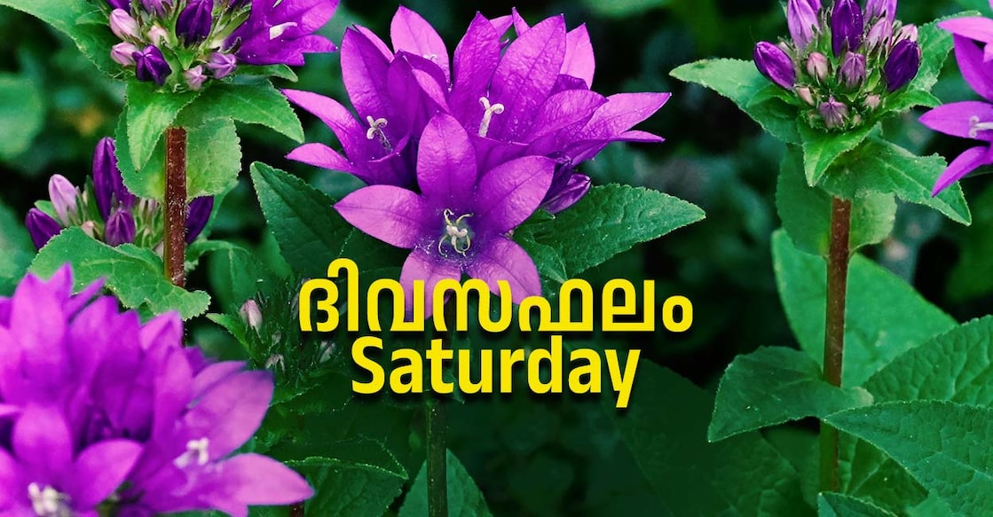 saturday Image Credit : LADOCKI ELVIRA / Shutterstock