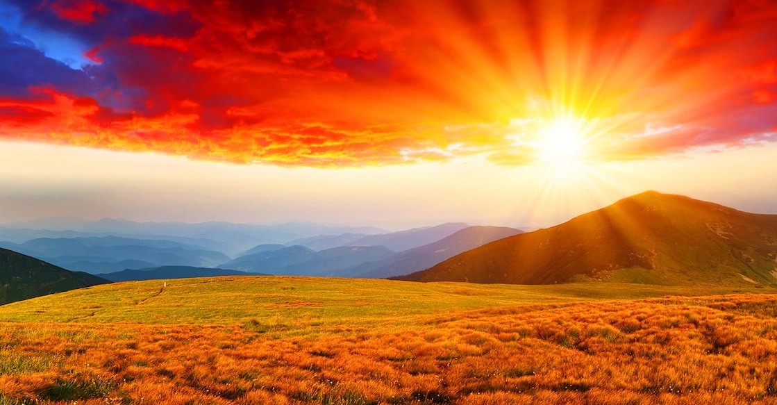 Image Credit: leonid_tit