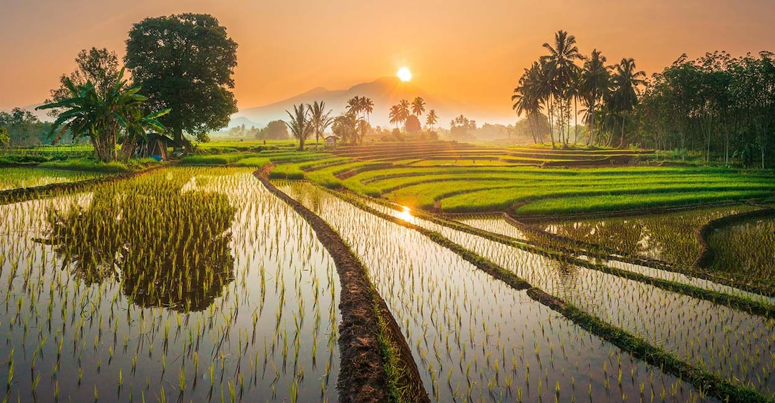 Image Credit : rahmad himawan / IstockPhoto