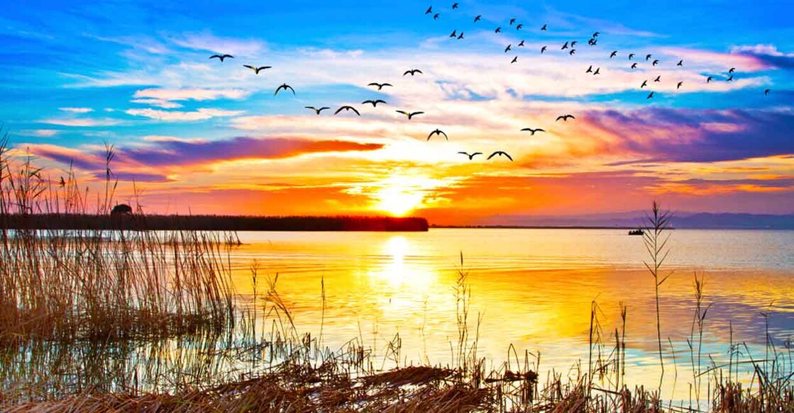 Image Credit: kesipun/ Shutterstock