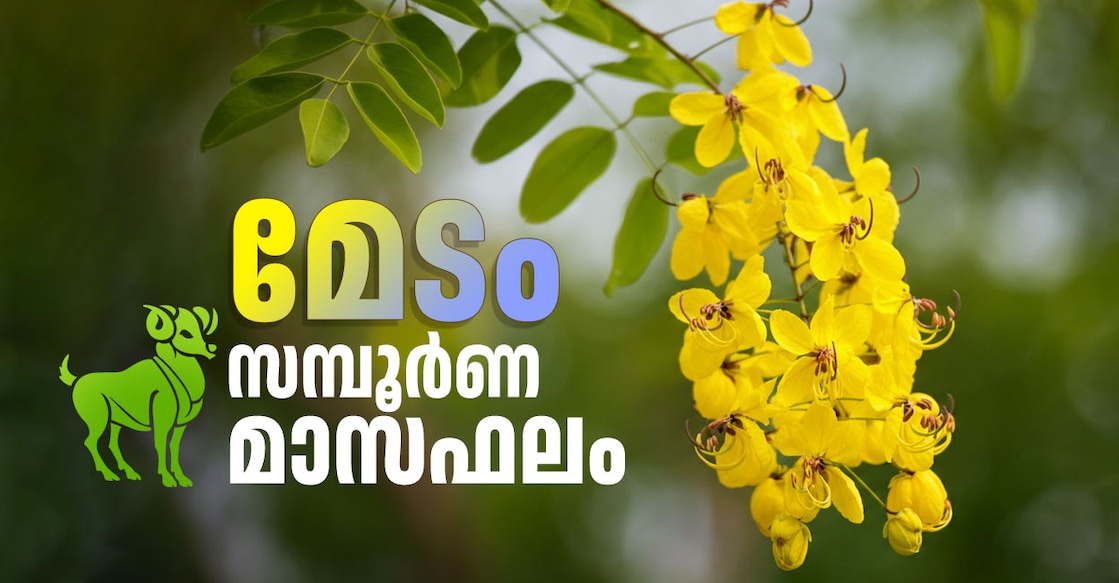 monthly-prediction-in-medam