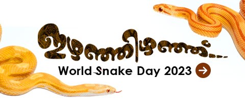 World Snake Day 2023