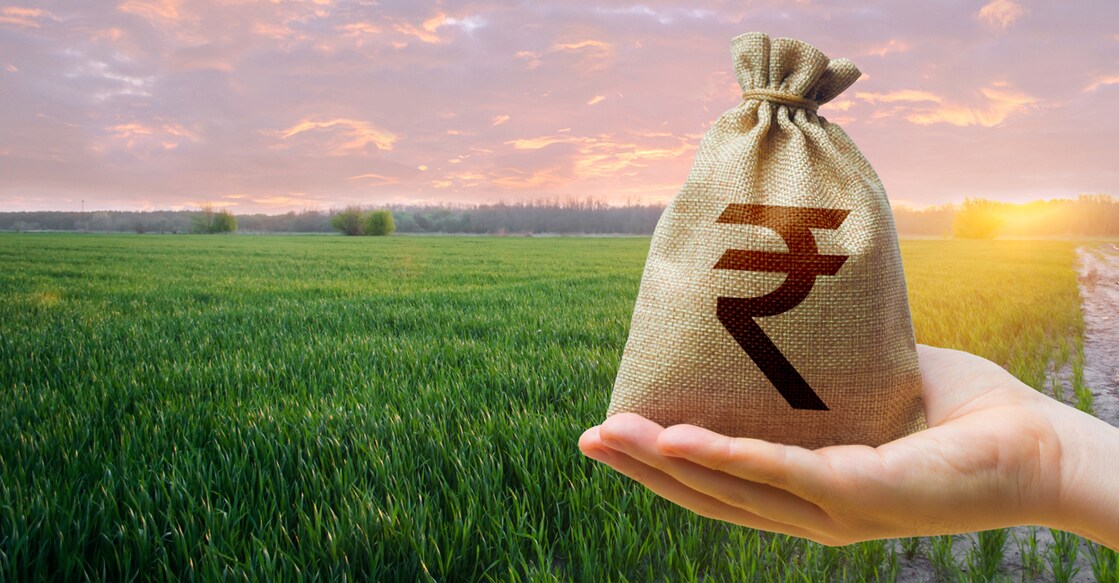 Green meadow field of young wheat and indian rupee money bag. World hunger. Grains cereals deficits. Starvation. Agroindustry and the agricultural business. World food security crisis, high prices.