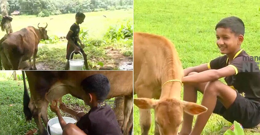 mathew-benny-s-cattle-farm-idukki mathew-benny-s-cattle-farm-idukki