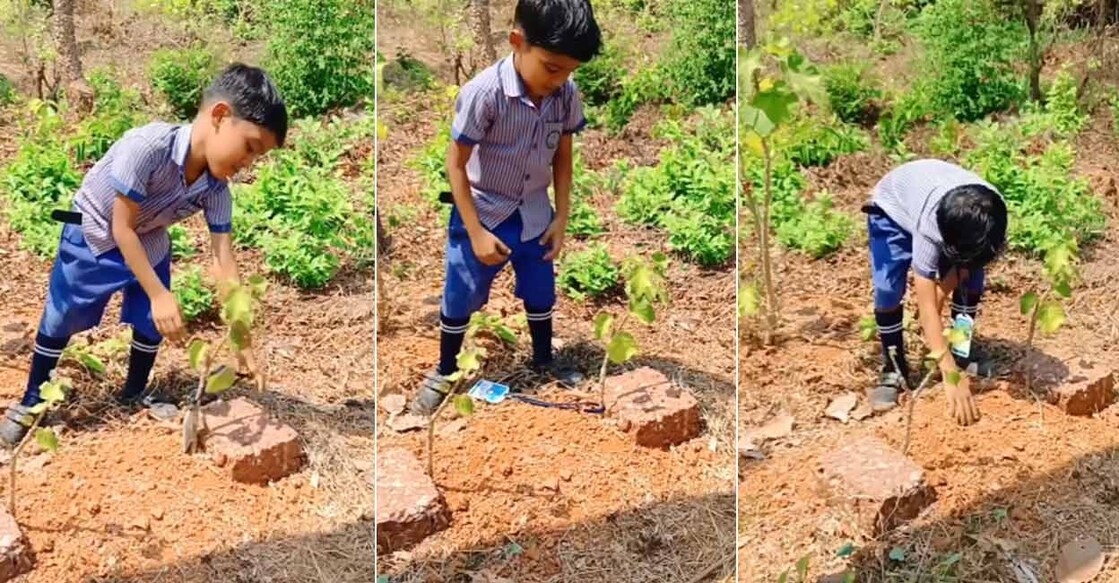 ചിത്രത്തിന് കടപ്പാട് :  ഇൻസ്റ്റഗ്രാം