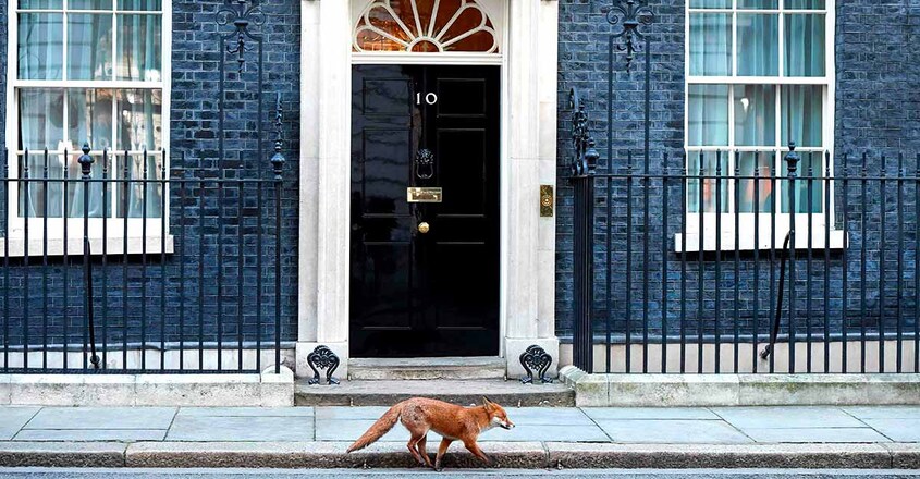 padhippura-10-downing-street padhippura-10-downing-street