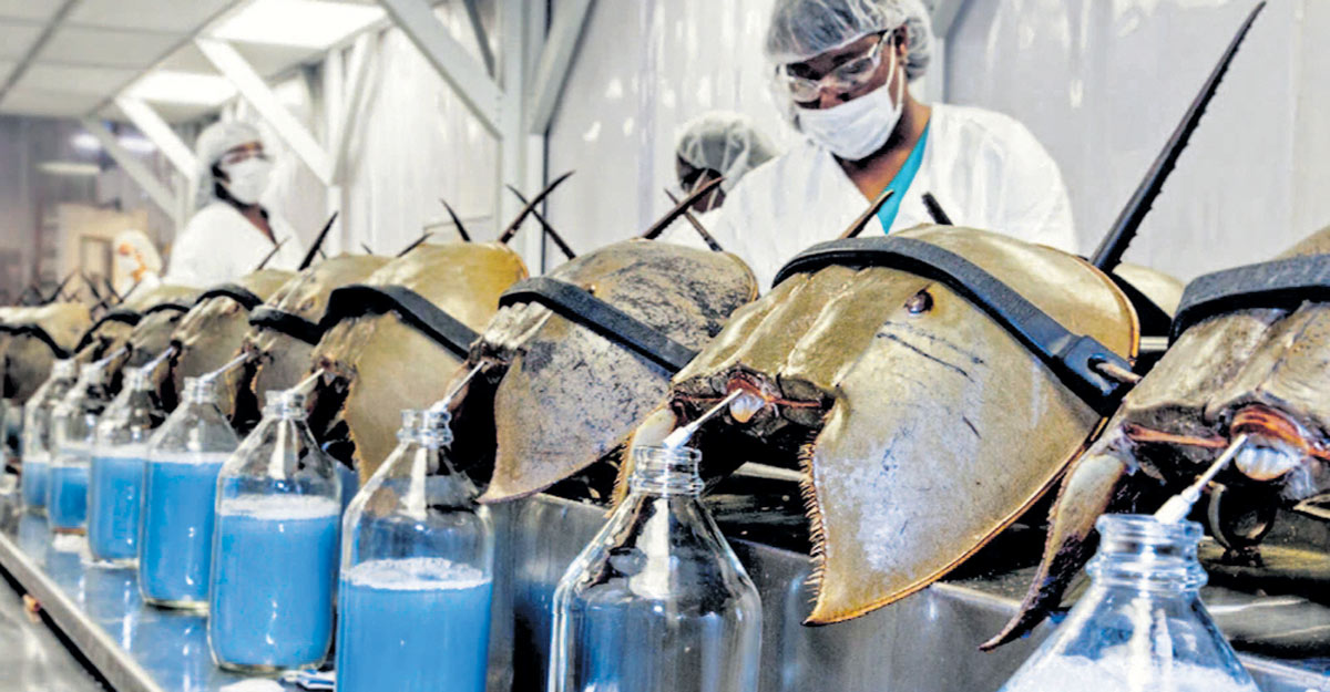 കോവിഡ് വാക്സീൻ ഉണ്ടാക്കുന്നിടത്ത് അരശു ഞണ്ടിന് എന്തുകാര്യം