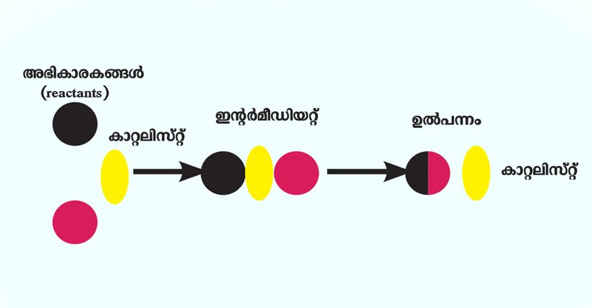 padhippura-cataylyst-story-chenical-reaction padhippura-cataylyst-story-chenical-reaction