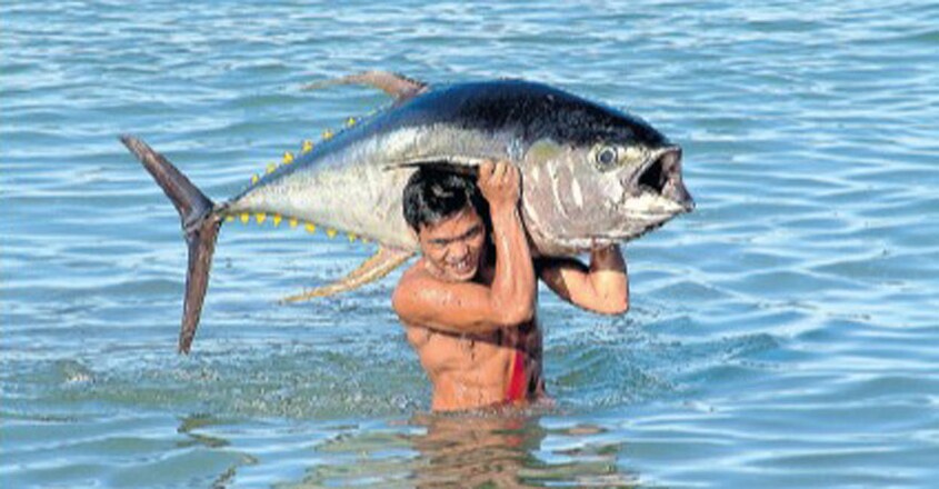 iucn-red-list-of-threatened-species iucn-red-list-of-threatened-species