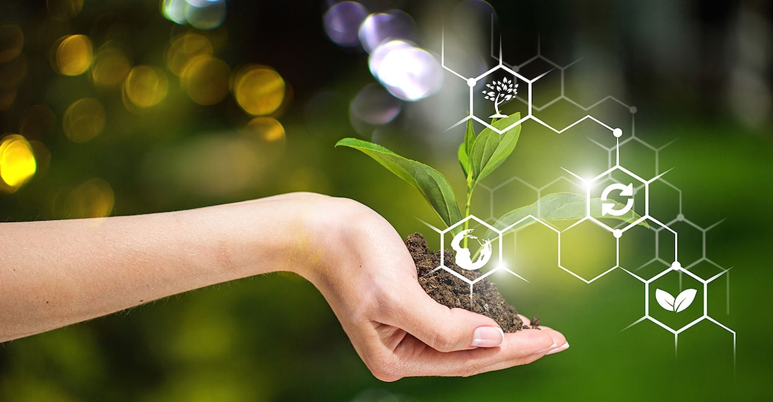 unlocking-biodiversity-secrets-with-environmental-dna Representative image. Photo Credits: Billion Photos/ Shutterstock.com