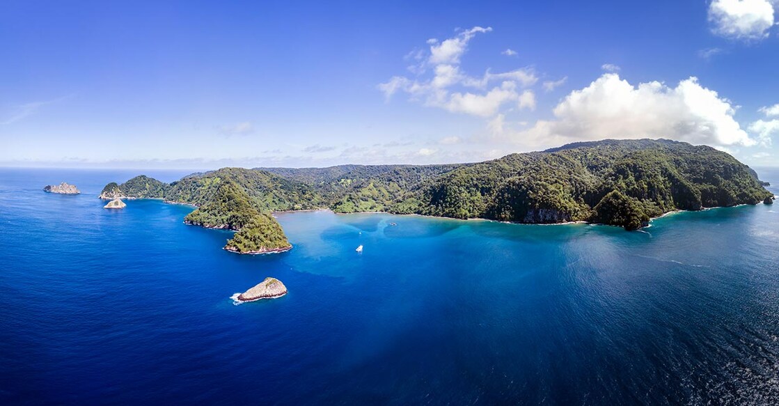 Representative image. Photo credit: Divepic/ istock.com
