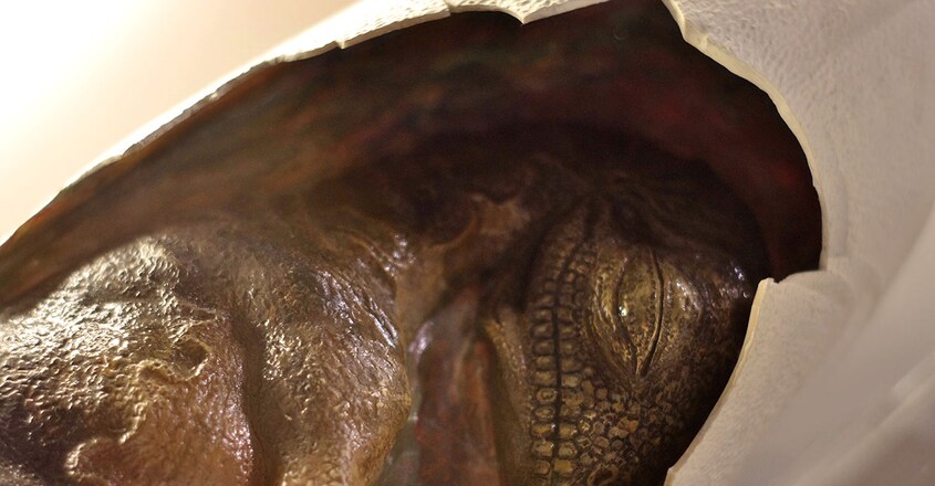 72-million-year-old–preserved–embryo–found–inside–fossilized–dinosaur–egg