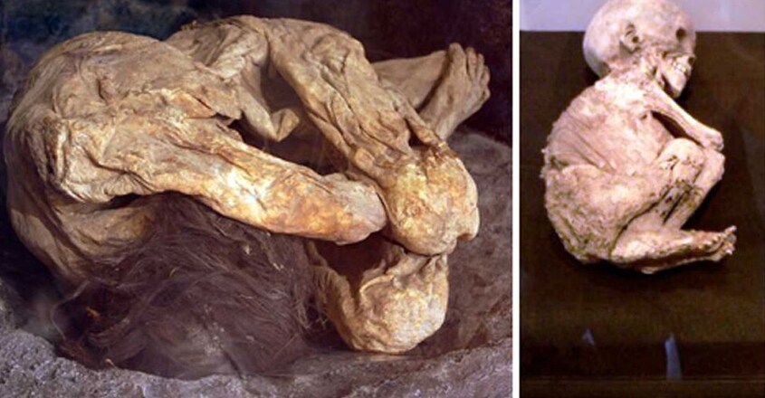 /lemon-grove-mummies-san-diego-california /lemon-grove-mummies-san-diego-california