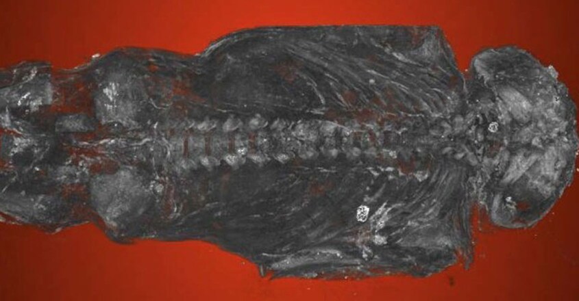 misidentified-egyptian-hawk-mummy-is-actually-a-human-baby misidentified-egyptian-hawk-mummy-is-actually-a-human-baby