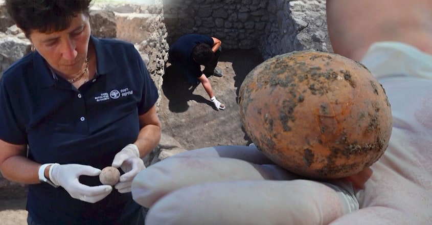 1000-year-old-chicken-egg-found-in-yavne-cesspit-byisraeli-archaeologists