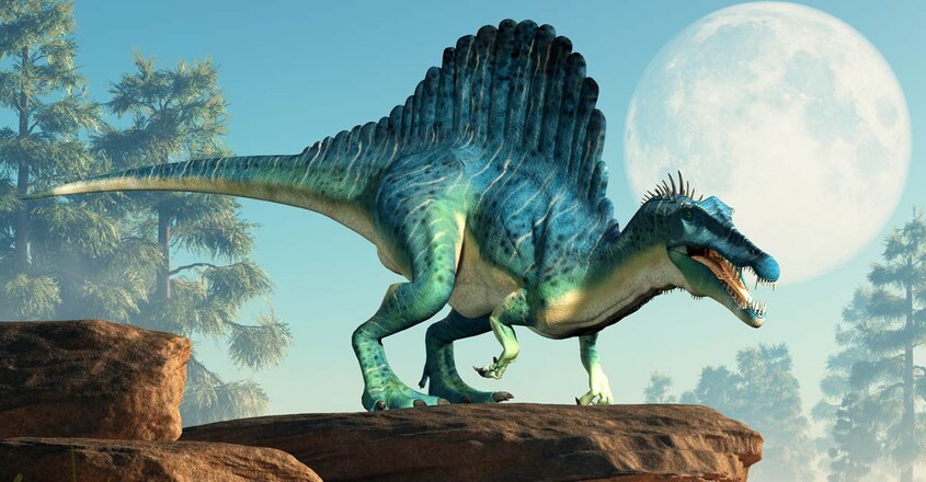 t-rex-vs-spinosaurus-fight-comparison1 t-rex-vs-spinosaurus-fight-comparison1