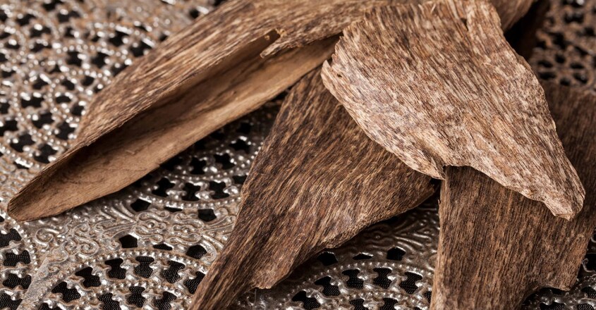 Agarwood Agarwood