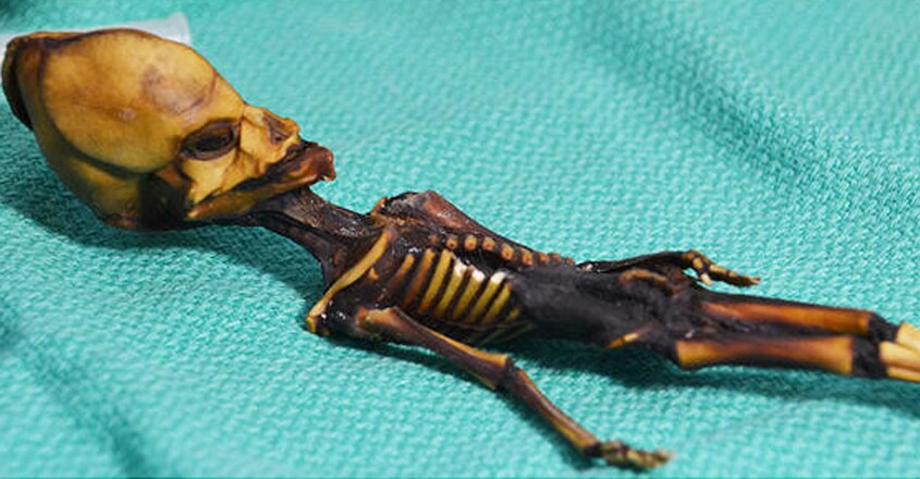 researchers-finally-solve-mystery-of-atacama-alien-skeleton 