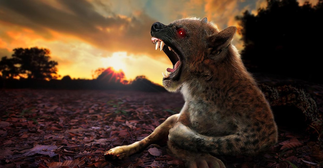 1996-ufo-case-the-varginha-brazil Photographic Digital Art portraying resemblance of fierce Chupacabra. Photo Credits: Alexlky/ Shutterstock.com