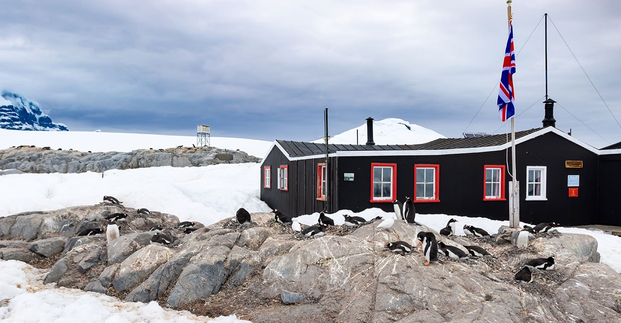 Post office in Antarctica needs people: count penguins too |  Antarctica |  Job |  Post Office |  Count Penguins |  Wonder World | Child prodigy |  Children News |  Kids Club |  Kids News |  Toddler News |  Malayala Manorama |  Manorama Online