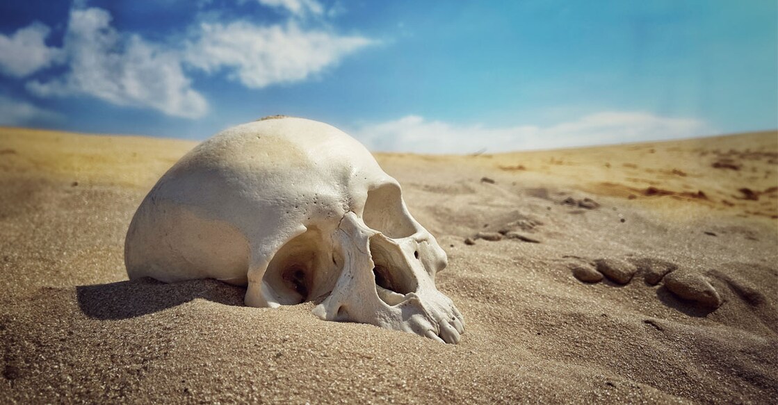 Representative image. Photo Credits: Phant/ Shutterstock.com