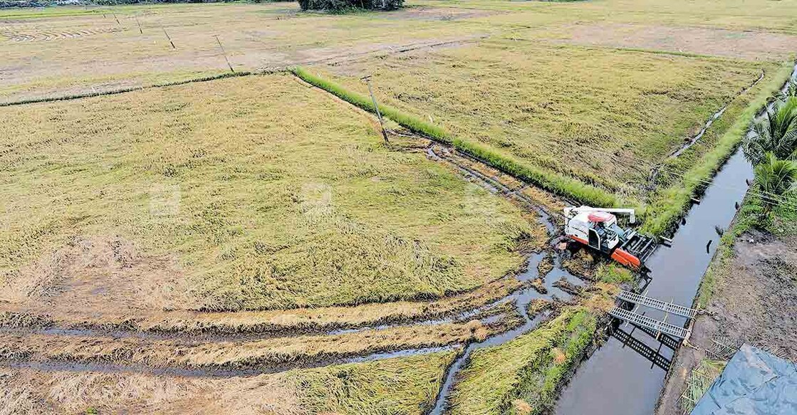 ശക്തമായ മഴയെത്തുടർന്ന് വ്യാപകമായ കൃഷിനാശമാണ് ഉണ്ടായിരിക്കുന്നത്. നെല്ല് വീണ് കൊയ്ത്ത് മുടങ്ങിയ പുന്നപ്ര വടക്ക് പഞ്ചായത്തിലെ അഞ്ഞൂറ്റം പാടശേഖരം. വെള്ളം കാരണം കൊയ്യാനാകാതെ ഇട്ടിരിക്കുന്ന കൊയ്ത്തുയന്ത്രവും കാണാം. 
									ചിത്രം:സജിത്ത് ബാബു.മനോരമ