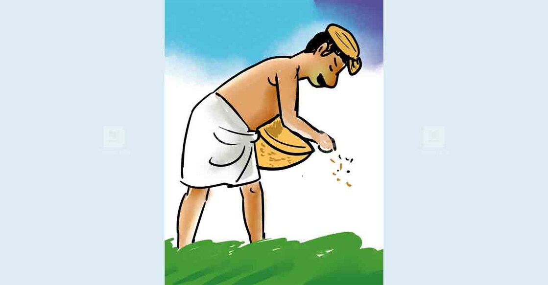 alappuzha-paddy-farmer alappuzha-paddy-farmer